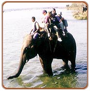 Elephant Ride, Chitwan Holiday Packages