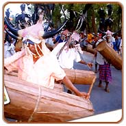 Tribal Dance, Bastar Travels