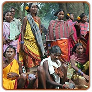 India Tribals Tour