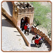 Amber Fort, Jaipur Holiday Vacations