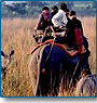 Discount Wildlife Tour