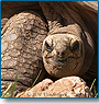 Kanha National Park Tour