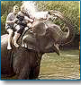 Kaziranga - Rhino Land Tour