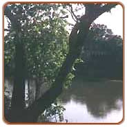 Lake, Bandhavgarh Vacations