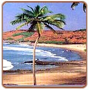 Miramar beach, Goa Travels & Tours