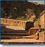 Rajasthan Wildlife Tour